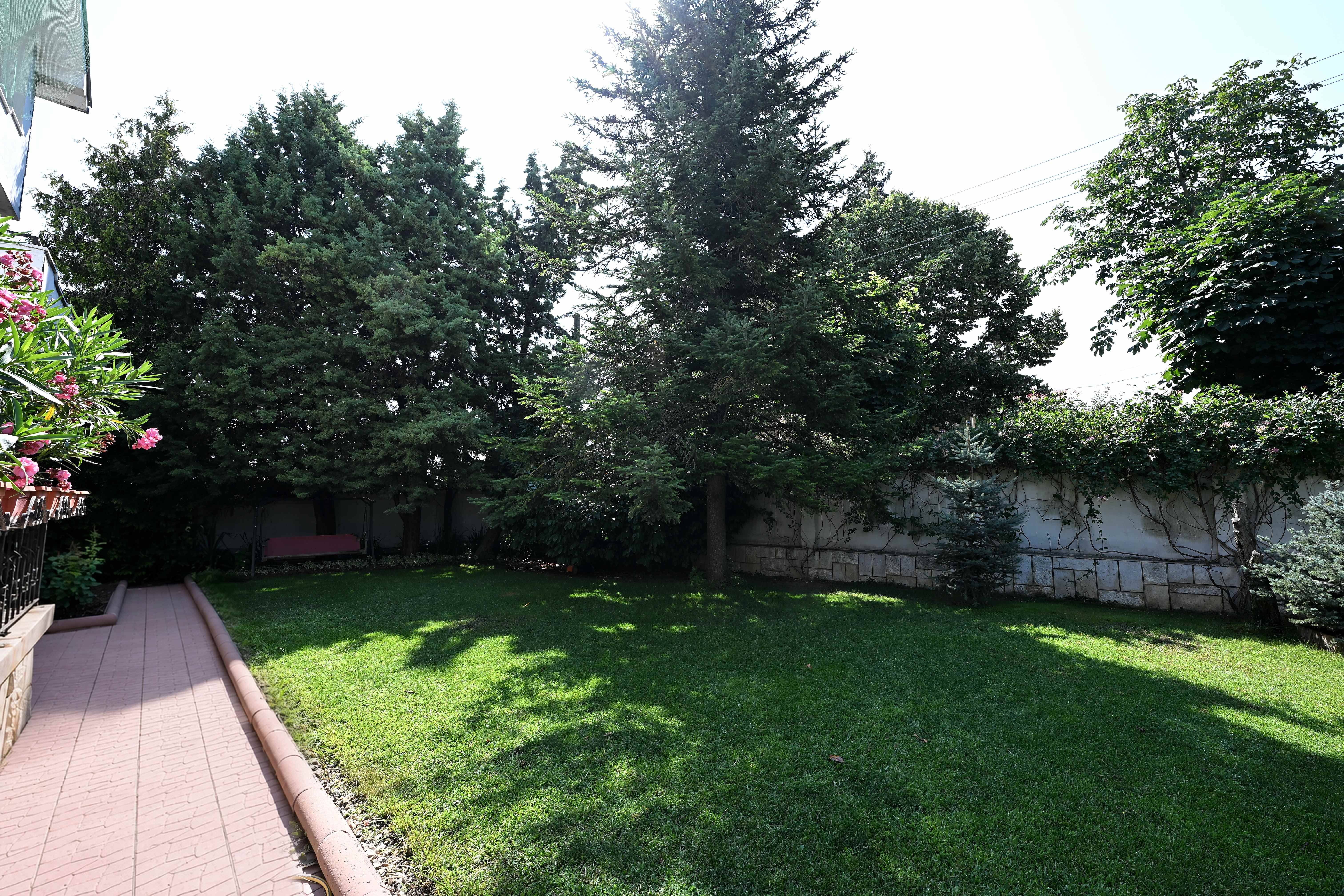 Garten mit hohen Zypressen