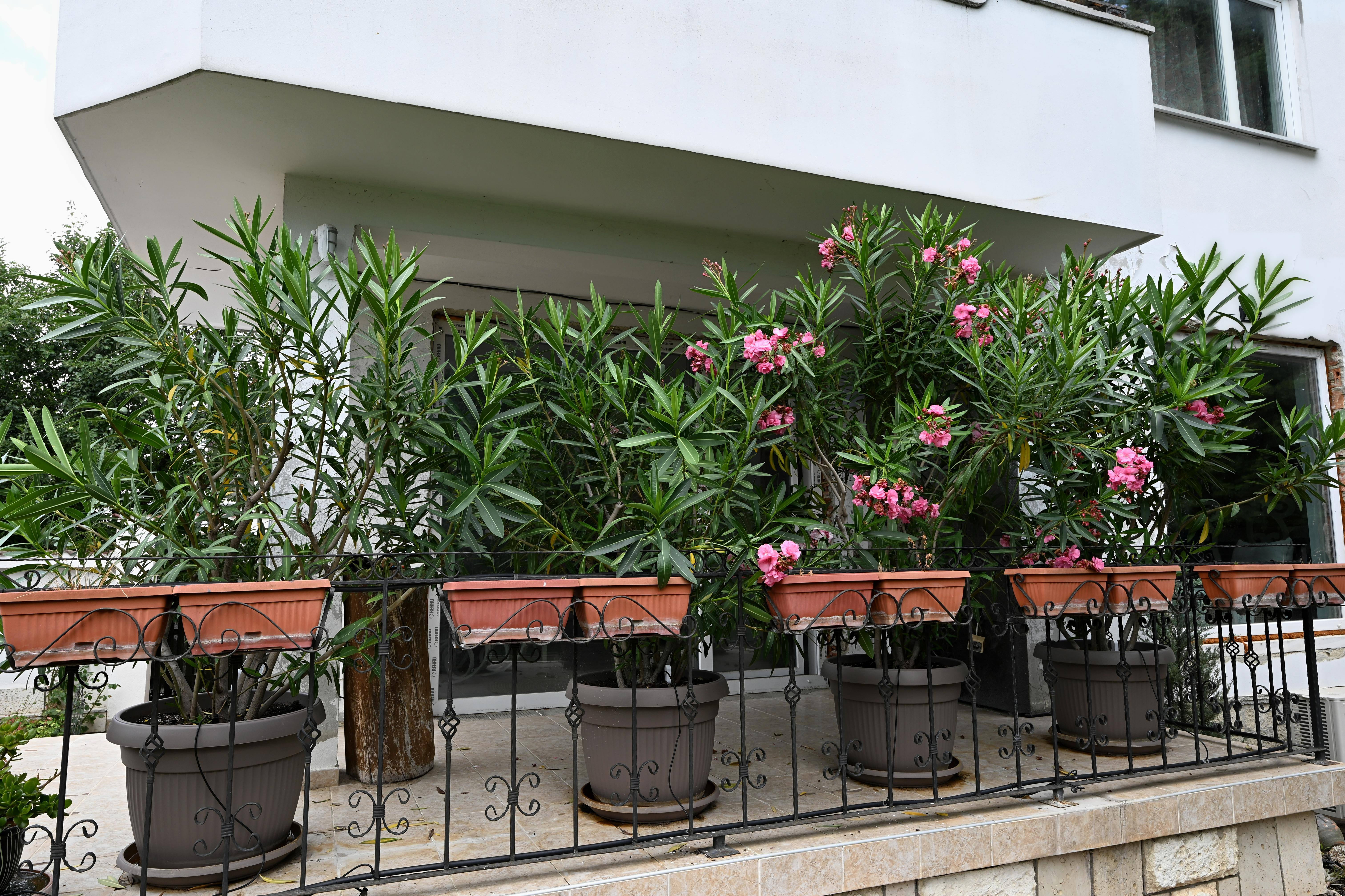 Veranda