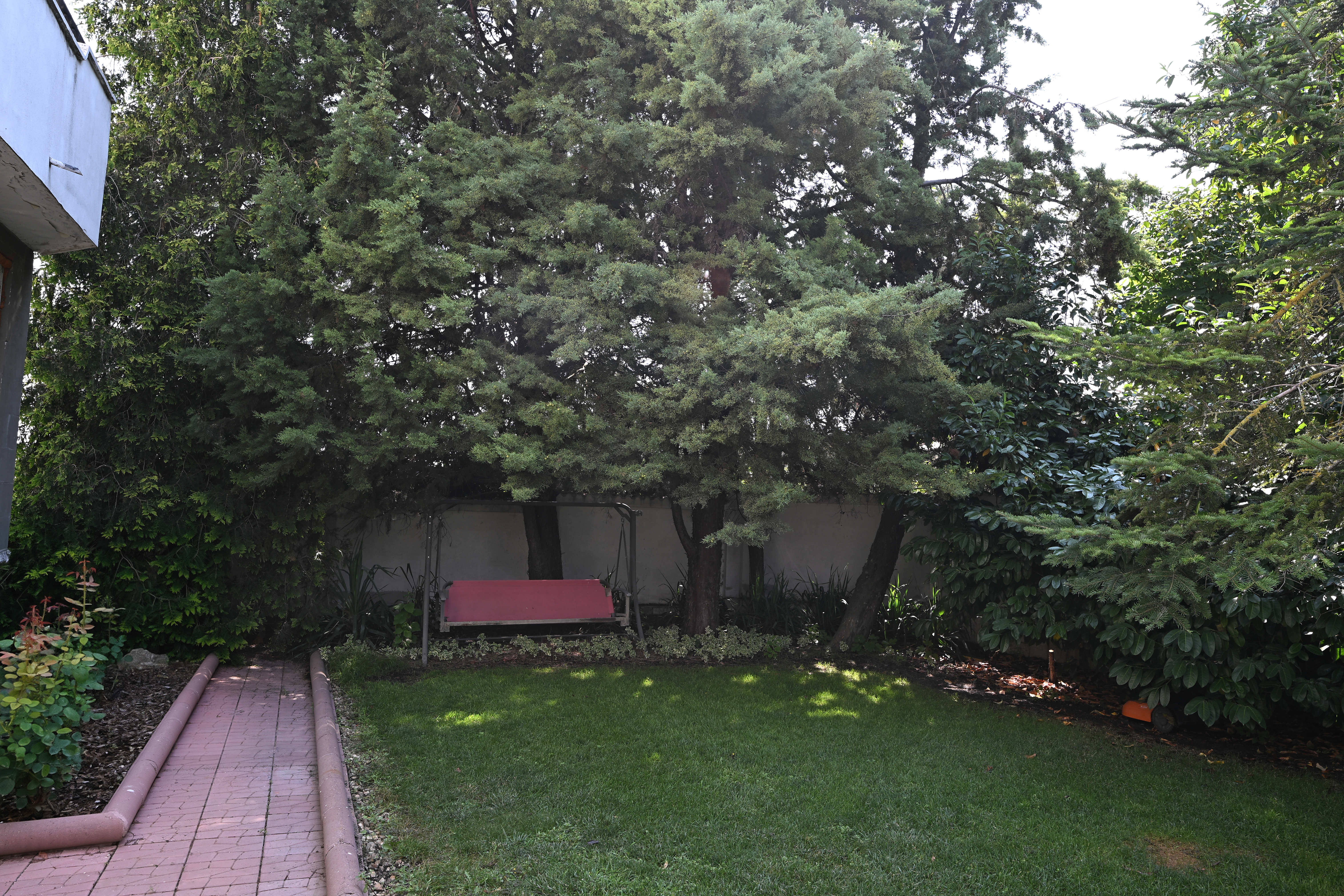 Garten mit Zypressen